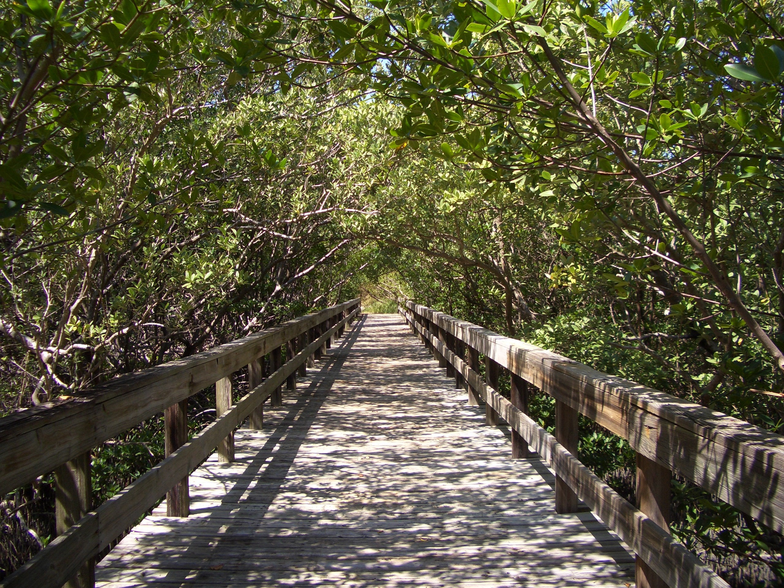 Walk Trails to Shore at Lovers Key Florida State Parks